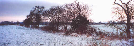 Fields in the Snow