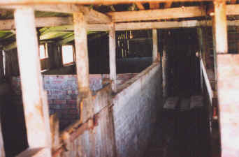 Inside a Pig Shed